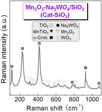fig. S6. Raman spectra of various samples.