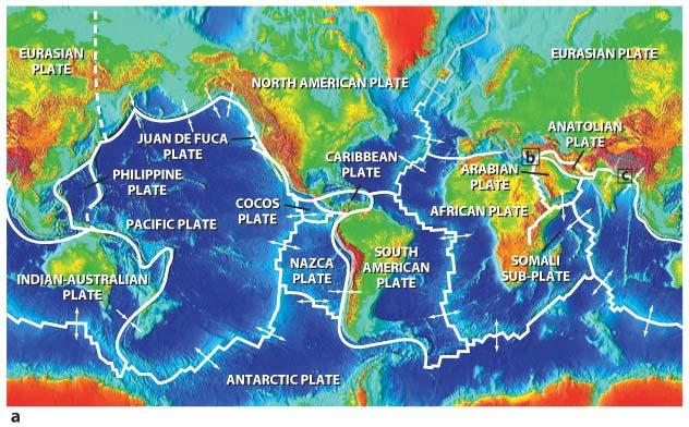 Plate Tectonics The Earth s surface is broken up into about a
