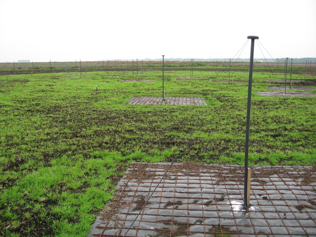 LOFAR: The Basics II Stations: 96 Low Band Antenna s Distributed over ~60