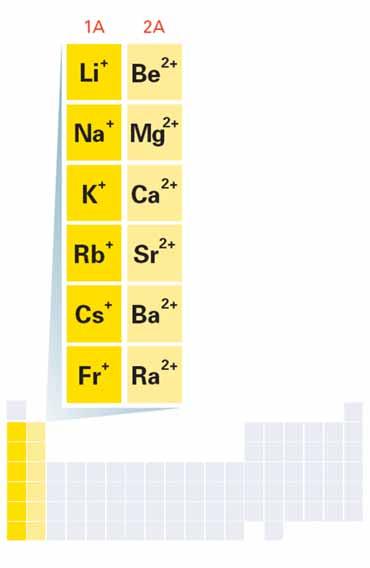 7.1 Ions > Formation of Cations Cations of Group 1A elements always have a