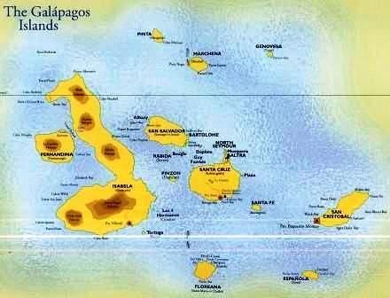 Darwin's Observations The Galápagos Islands Darwin observed that the