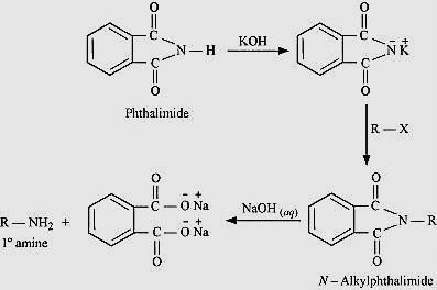 (vii) Gabriel phthalimide synthesis is preferred for synthesising primary amines: Gabriel phthalimide synthesis results in the formation of 1 amine only.