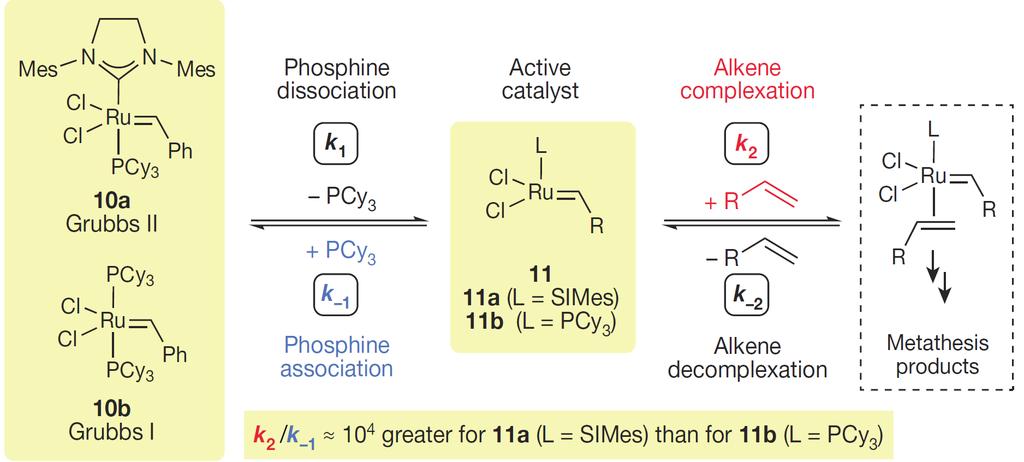 NHCs versus Phosphines: Case-study 34 Grubbs II Ruthenium Olefin Metathesis Large rate difference reveals that binding to the alkene is 10 4 x more