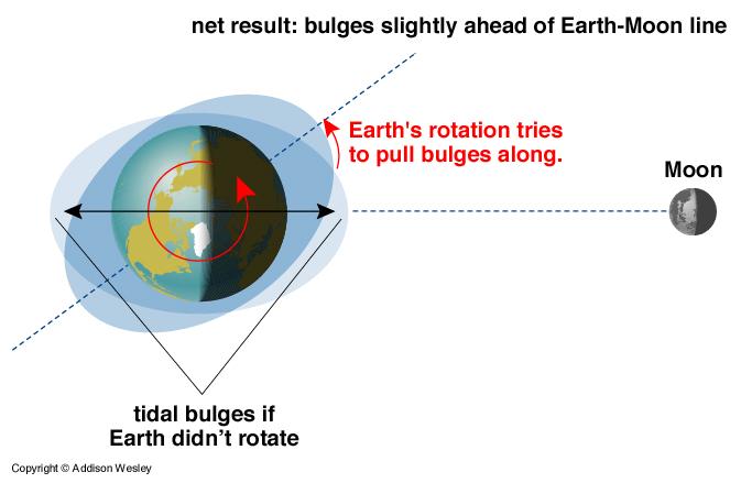 Tidal Friction This fight between Moon s pull & Earth s rotation causes friction.