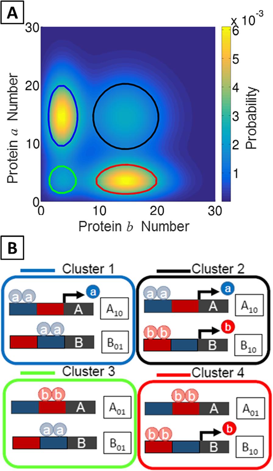 Chu et al. BMC Systems Biology (2017) 11:14 Page 7 of 17 Fig. 2 Four metastable clusters, or network macrostates, identified for the MISA network by the Markov State Model approach.