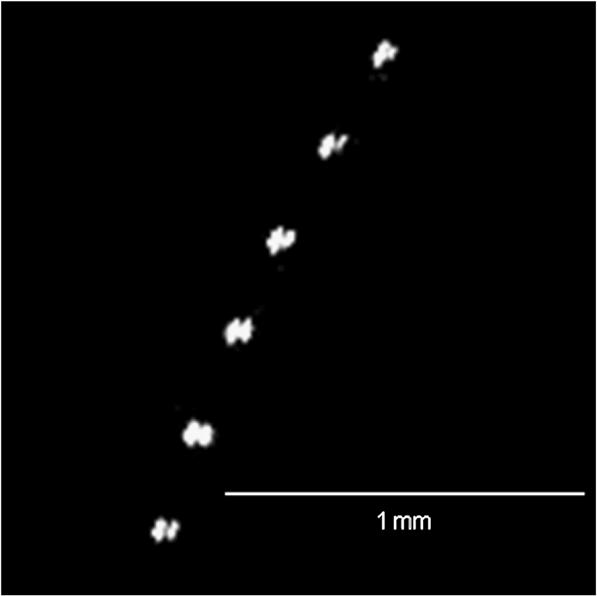 336 J Low Temp Phys (2011) 162: 329 339 Fig. 8 Image showing double tracks apparently coming from light scattered from a bubble. The temperature is 1.