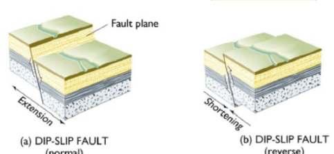 Fault A Thrust Fault is a