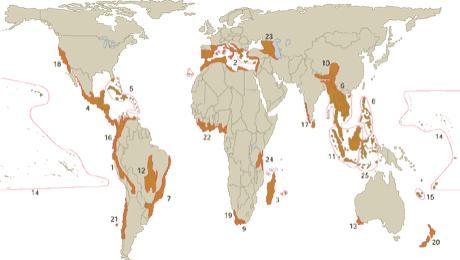 Biodiversity Hot spots A biogeographic region that is both a significant reservoir of biodiversity and is threatened with destruction.