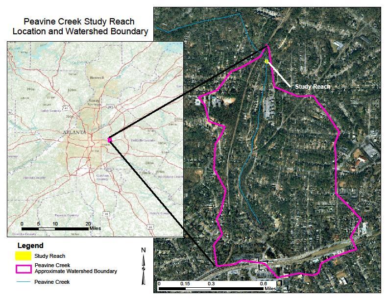 10 This Study Location Peavine Creek is a small, urbanized stream in Decatur, Georgia, located in the Chattahoochee River watershed, in the Atlanta metropolitan region.