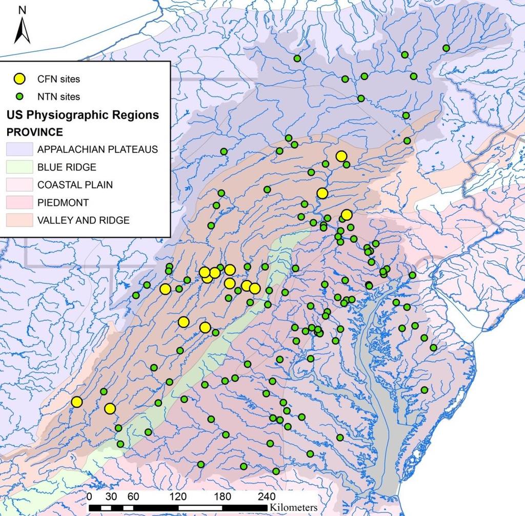 The Chesapeake Floodplain Network Measure and predict the sediment/n/p balance (sink or source of floodplain/banks) in entire Chesapeake watershed Measurements: - Reach scale sediment net flux (and