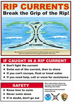 Waves and Rip Currents All 6