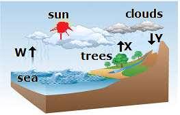 - 8-3. The diagram below shows the water cycle. A. Each letter shows a process taking place. Identify the processes represented by the letters W and X.