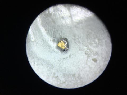 Probable visible gold seen in FERC154 (Boyd s Dam) (left) and FE842 (Discovery) (right). Grains are associated with arsenopyrite and approximately 0.3mm diameter.