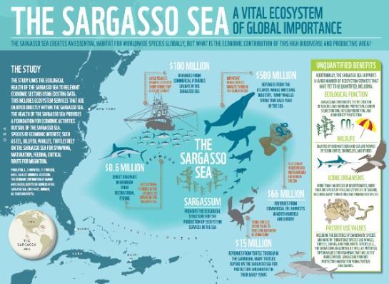Sargasso Sea Pilot Project (1/2) Use the Sargasso Sea and NASA as a regional pilot application for Sargasso Sea Commission to ensure that the development is user-driven and effective.