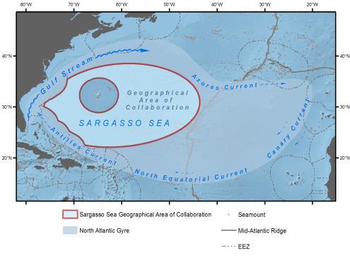 advance the recognition of the importance of the Sargasso Sea and promote its protection in accordance with the Law of the Sea Convention Periodic interactions with SSC over a 1.