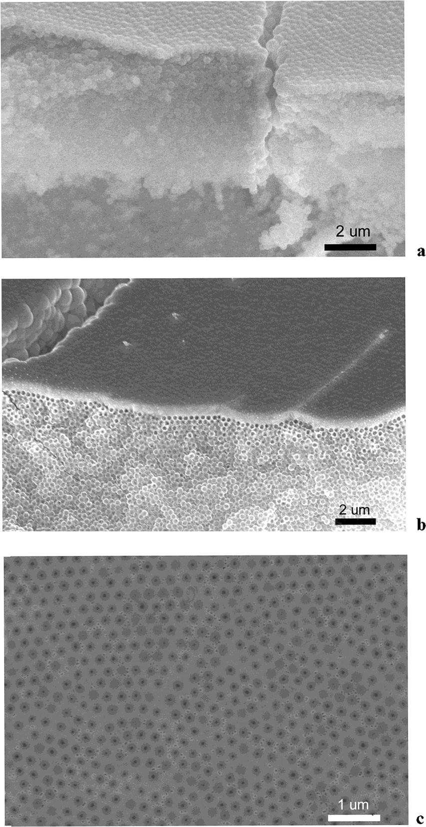 Figure 1. (a) Colloidal crystal film infiltrated with WN.