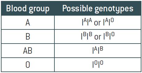 A further key example of codominance is shown in human ABO blood groups. There are three alleles that are associated with the immunoglobulin gene (gene I).