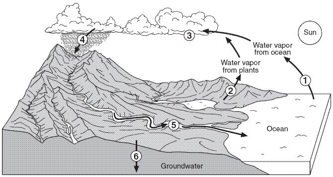 18. Base your answer on on the diagram below, which shows laboratory materials used for an investigation of the effects of sediment size on permeability, porosity, and water retention.