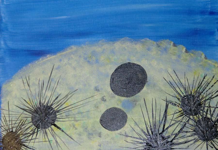 Marine Careers Sea Urchins - Diadema antillarum Sea Urchins by Jacqui Stanley 2010 Activity Summary In this lesson, students will learn about the role of sea urchins in the coral reef environment.