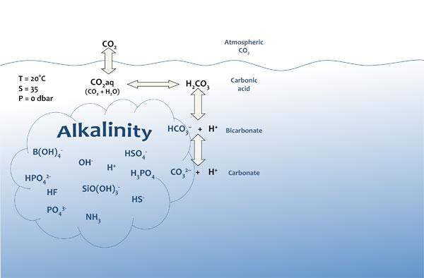 What was alkalinity again?