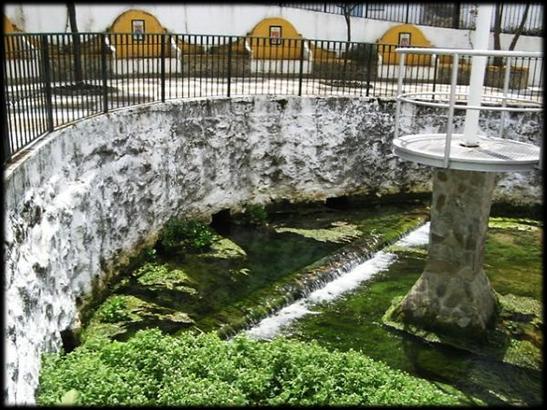 nearby Cachones overflow spring, constitute the main discharge points of Sierra de Grazalema aquifer, with a