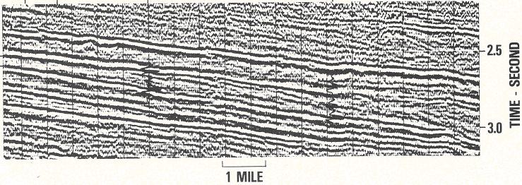 Seismic stratigraphy, some examples from Indian Ocean, interpretation of reflection data in interactive mode K. S. Krishna National Institute of Oceanography, Dona Paula, Goa-403 004. krishna@nio.