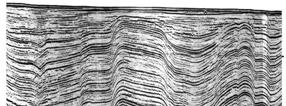 Sedimentary strata of the central Indian Ocean Basin associated with long-wavelength folding and faulting displays the classical angular unconformities at different geological ages.