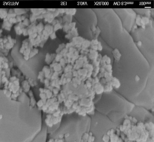 Figure.2 FT IR spectrum of silver nanoparticle synthesized by Thermoactinomyces sp. ACIC St.Joseph's College ( Autonomous ) Trichy-2 FTIR SPECTRUM Spectrum Name: S3PO 100.0 90 3981.68 3878.56 2390.