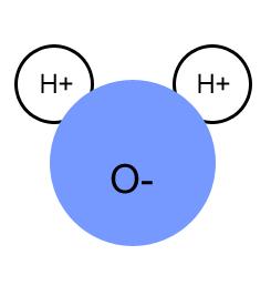 The Water Molecule Water is a POLAR molecule One end is slightly posi&vely