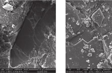 FD of SEM images as