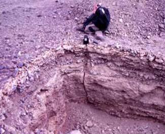 250 m of gravel overlying mineralisation Earthquake prone area Movement