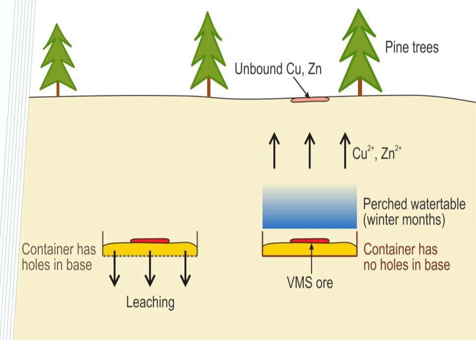 environments Elevated concentrations of Zn, Cu and Au in soil after 7 months in stagnant