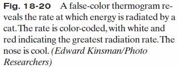 The rate P rad at which an object emits energy via electromagnetic radiation depends on the object s surface area A and the temperature T of that area in K, and
