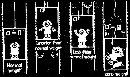 Jean is in an elevator that is accelerating downward at 1.25 m/s2. Her mass is 65 kg. What is her weight and apparent weight? 4. Lucy is in an elevator that is accelerating downward at 3.75 m/s2.