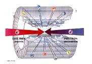 1998: Start of asymmetric two ring electron positron colliders
