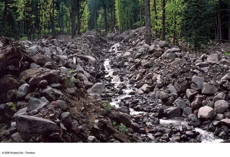 of the Wasatch 1996 debris-flow channel, a