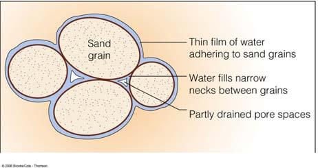 Capillary cohesion in the narrow necks between grains pulls the grains together.