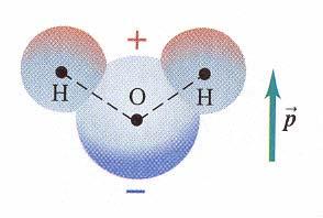 Figure 4 Water molecule, H 2 O, is a permanent electric dipole. Both electrons are shared with the oxygen atom creating a strong electric bond.