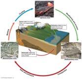 called lithification. They are deposited in parallel horizontal layers. They make up about 75% of the earth s surface.