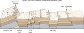 Tectonic Forces: Folding, Faulting and Volcanism Folding: compression FOLDING