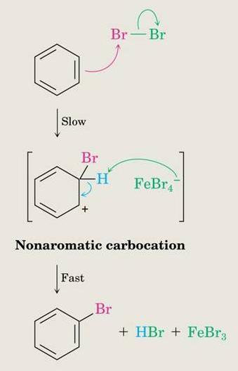 Formation of Product from Intermediate The cationic addition intermediate transfers a proton to
