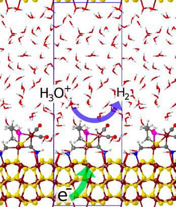Bio-inspired catalyst for hydrogen production Ab-initio MD simulations are used to learn how the active site of an enzyme of