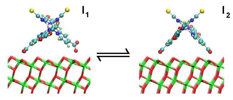Suggested binding mode Proposed monomer binding geometries Equilibrium between two