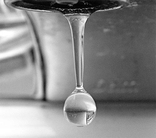 Water Water is the most important molecule on earth.