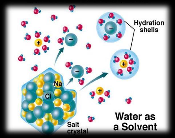 Water is a Universal Solvent Water is capable of dissolving a