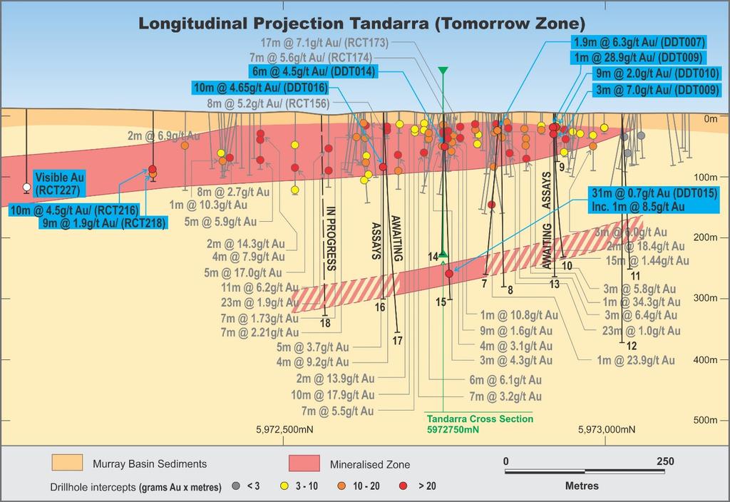 Figure 6: Longitudinal Projection of Tomorrow Zone showing location of Diamond