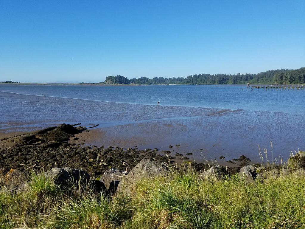 Potential indicators of habitat and water quality in the lower Columbia