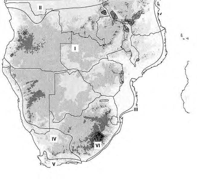 PHYTOGEOGRAPHY PHYTOGEOGRAPHY The palaeoenvironment of southern Africa Africa, when compared with other tropical parts of the world, supports a floristically impoverished vascular flora (Brenan 1978).