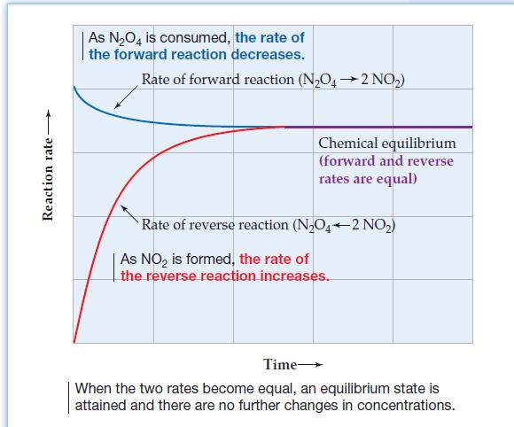 Chemical Equilibrium: Chemical Equilibrium When the rate of the forward reaction equals the rate of the reverse reaction and the concentration of products and reactants remains unchanged Arrows