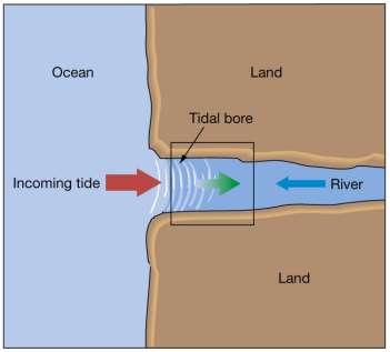 Tidal bore = a true tidal wave Wall of